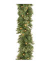 National Tree Company 9ft Wispy Willow Garland With Lights