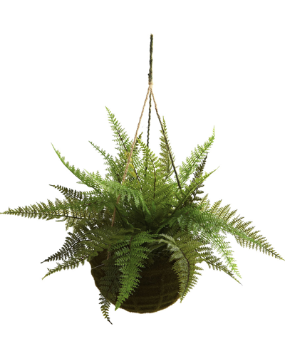 Nearly Natural Set Of 2 Leather Ferns With Mossy Hanging Basket