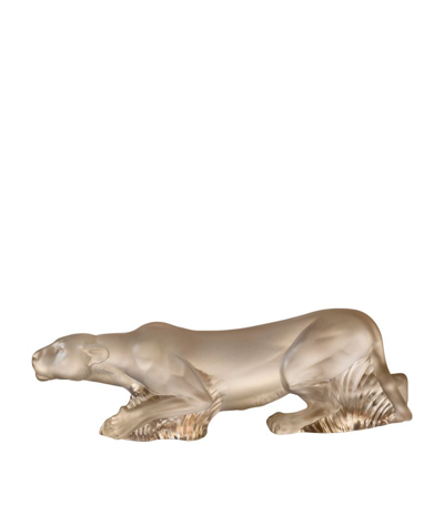 Lalique Crystal Timbavati Lioness Sculpture In Multi