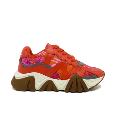 Versace Jungle Print Squalo Sneakers In Red