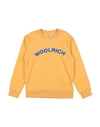 Shop Woolrich Toddler Boy Sweatshirt Mandarin Size 6 Cotton