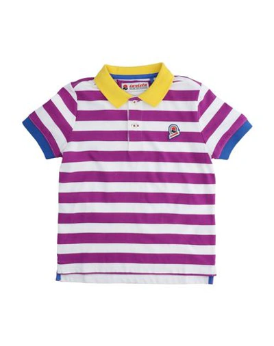 Invicta Babies'  Toddler Boy Polo Shirt Purple Size 6 Cotton