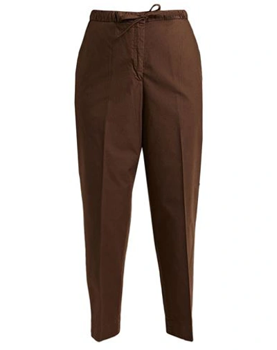 Jil Sander+ Woman Pants Chocolate Brown Size 8 Cotton
