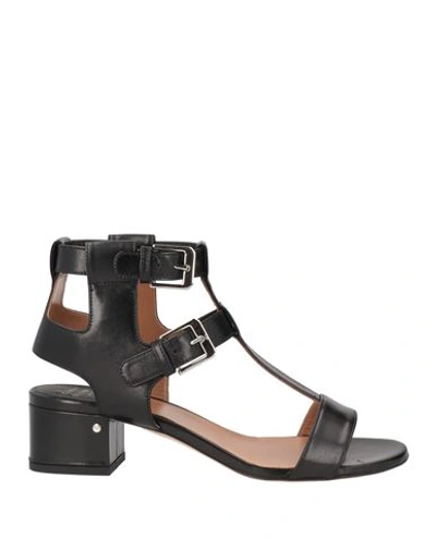 Laurence Dacade Woman Sandals Black Size 8.5 Calfskin