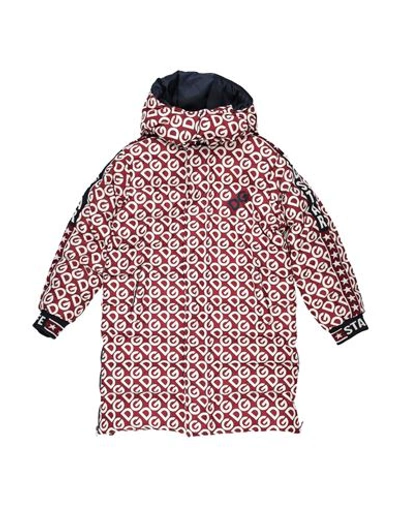 Dolce & Gabbana Babies'  Toddler Boy Down Jacket Burgundy Size 3 Polyester, Cotton, Elastane In Red