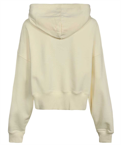 Msgm Cotton Hoodie In Ecru