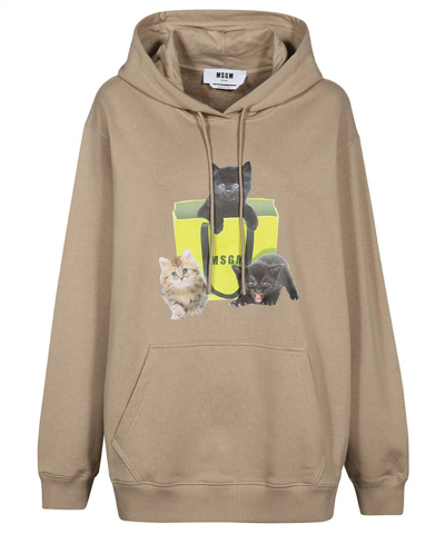 Msgm Cotton Hoodie In Beige