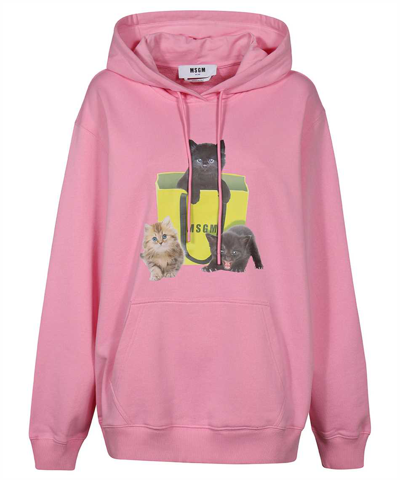Msgm Cotton Hoodie In Pink