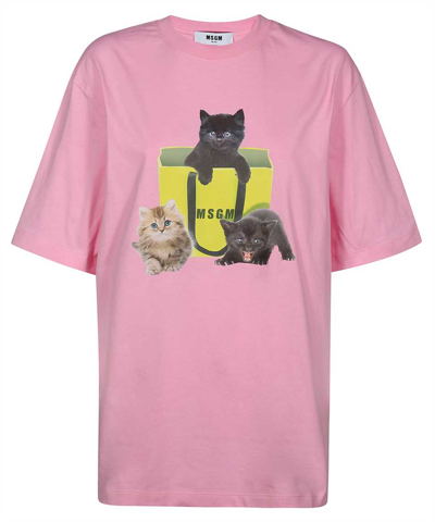 Msgm Printed Cotton T-shirt In Pink