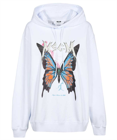 Msgm Cotton Hoodie In White