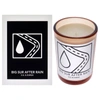 D.S. & DURGA BIG SUR AFTER RAIN BY DS & DURGA FOR UNISEX - 7 OZ CANDLE