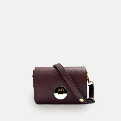 Apatchy London The Newbury Mushroom Leather Bag In Red