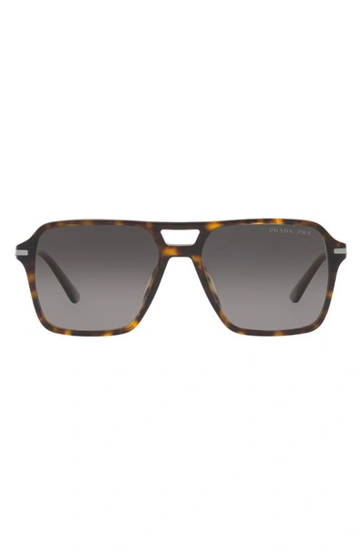 Prada 55mm Gradient Polarized Pilot Sunglasses In Havana