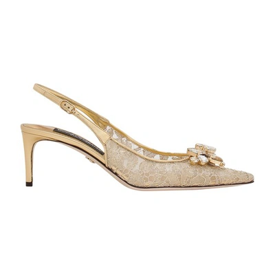 Dolce & Gabbana Rainbow Lace Slingbacks In Gold