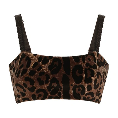 Dolce & Gabbana Chenille Crop Top With Jacquard Leopard Design In Brown