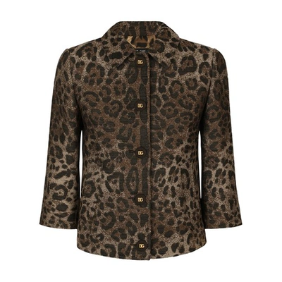 Dolce & Gabbana Wool Leopard Print Jacket In Light Pink