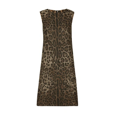 Dolce & Gabbana Leopard Jacquard Midi Dress In Brown