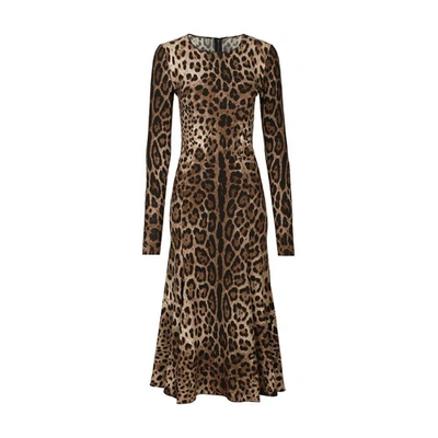 Dolce & Gabbana Midi Dress In Leopard Cady In Multi-colored