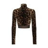 Dolce & Gabbana Leopard-print High-neck Blouse In Jacquard