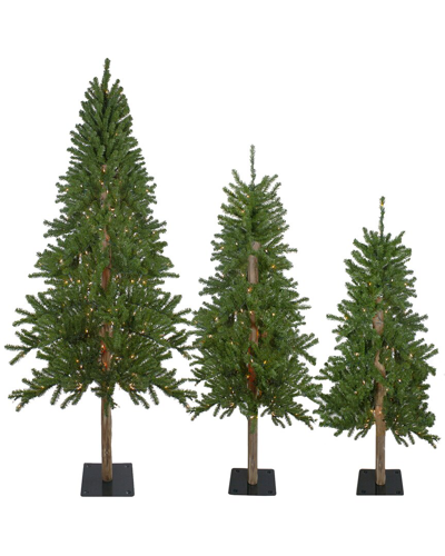 Northlight Set Of 3 Pre-lit Slim Alpine Artificial Christmas Tree
