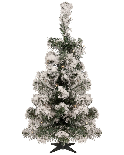 Northlight 2ft Pre-lit Medium Flocked Bristol Pine Artificial Christmas Tree