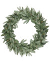 Northlight Pre-lit Washington Frasier Fir Artificial Christmas Wreath