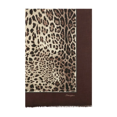 Dolce & Gabbana Leopard-print Modal And Cashmere Scarf (135x200) In Brown