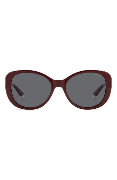 Polaroid 55mm Polarized Round Sunglasses In Burgundy/ Grey Polarized