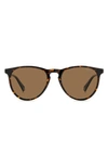 Polaroid 54mm Polarized Round Sunglasses In Havana/bronze Polarized