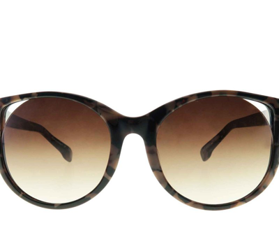 Big Horn Machino + S Sunglasses In Grey