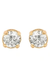 Suzy Levian 14k 0.33 Ct. Tw. Studs In Yellow Gold