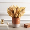 Safavieh Faux 14" Wheat Ear Potted Arg.