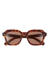 Oliver Peoples Women's Kienna 51mm Square Sunglasses In Dark Brown