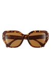 Tory Burch Women's Miller 55mm Oversized Cat-eye Sunglasses In Dark Tortoise