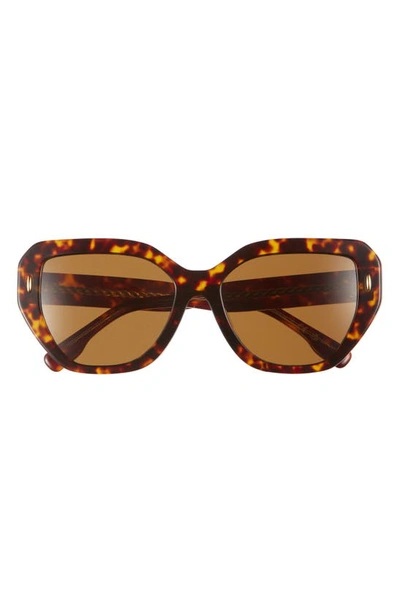 Tory Burch Women's Miller 55mm Oversized Cat-eye Sunglasses In Dark Tortoise