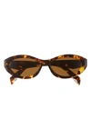 Prada Symbole Oval Sunglasses, 56mm In Dark Brown/brown Solid