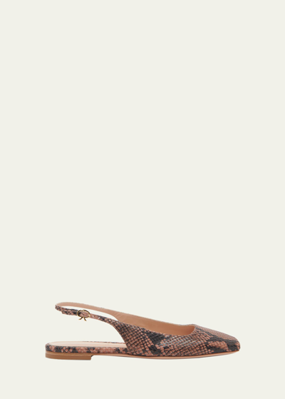 Gianvito Rossi Embossed Square-toe Slingback Ballerina Flats In Praline