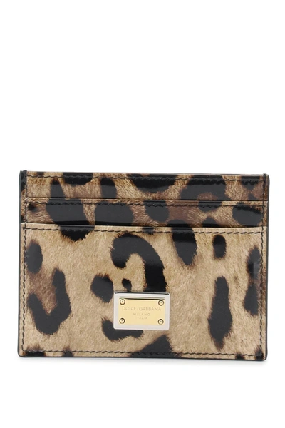 Dolce & Gabbana Leopard Print Leather Cardholder In Mixed Colours