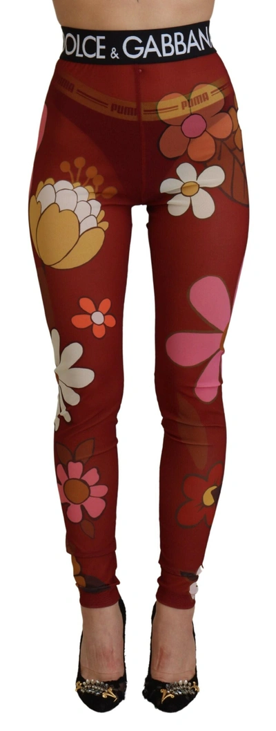 Dolce & Gabbana Floral Mesh Leggings Stretch Waist Pants In Multi