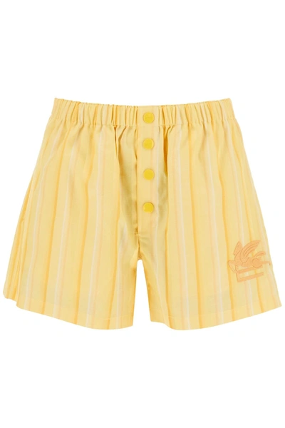 Etro Embroidered Striped Cotton And Silk-blend Shorts In Yellow