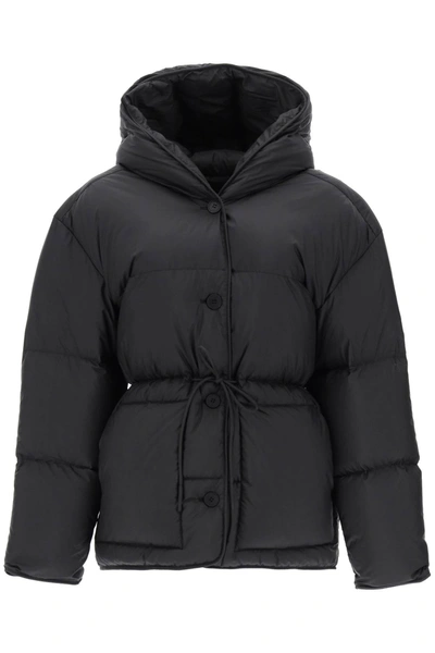 Ienki Ienki Michlin Down Jacket In Black