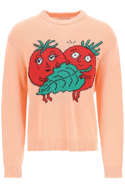 Sky High Farm Happy Tomatoes Cotton Sweater In Pink