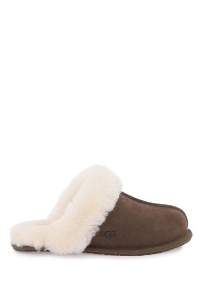 Ugg Scufette Slides In Brown