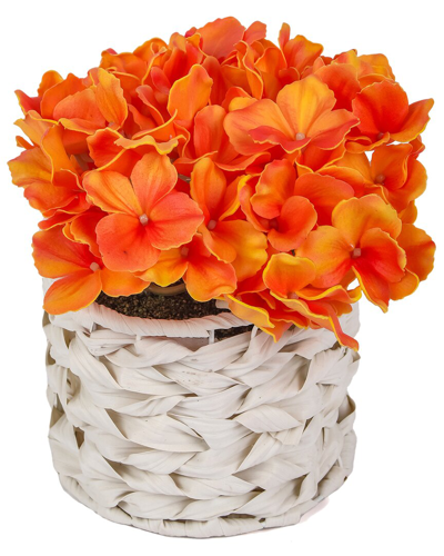 National Tree Company 10in Orange Hydrangea Bouquet In White Basket