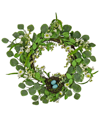 National Tree Company 20in Daisies And Berries Wreath In Green