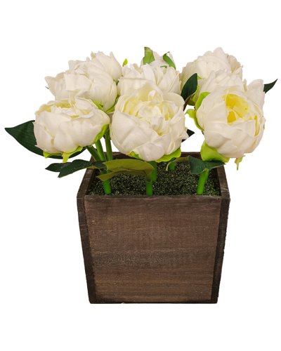 National Tree Company 10in White Peony Flowers In Wood Box