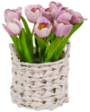 National Tree Company 10in Mauve Tulip Bouquet In White Basket In Mauve