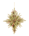 National Tree Company 32in Snowy Dunhill Fir Bethlehem Star With Lights