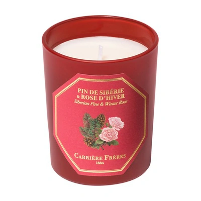 Carriere Freres Small Scented Candle-siberian Pine & Winter Rose , 70g In No_color