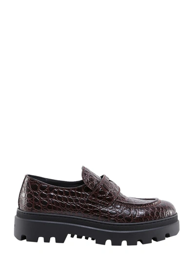 Car Shoe Loafer In Brown